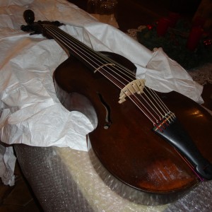 2017 Viola ganz